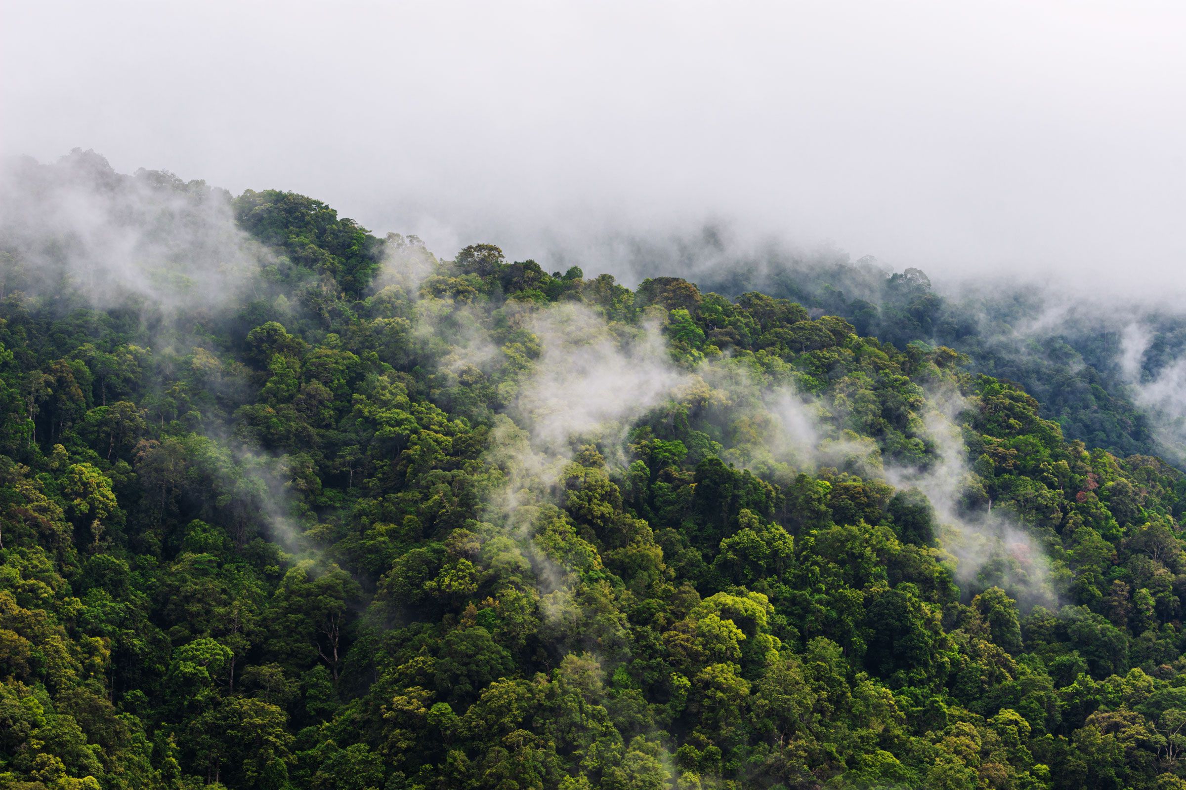 Climat : sommet européen pour renforcer les engagements environnementaux